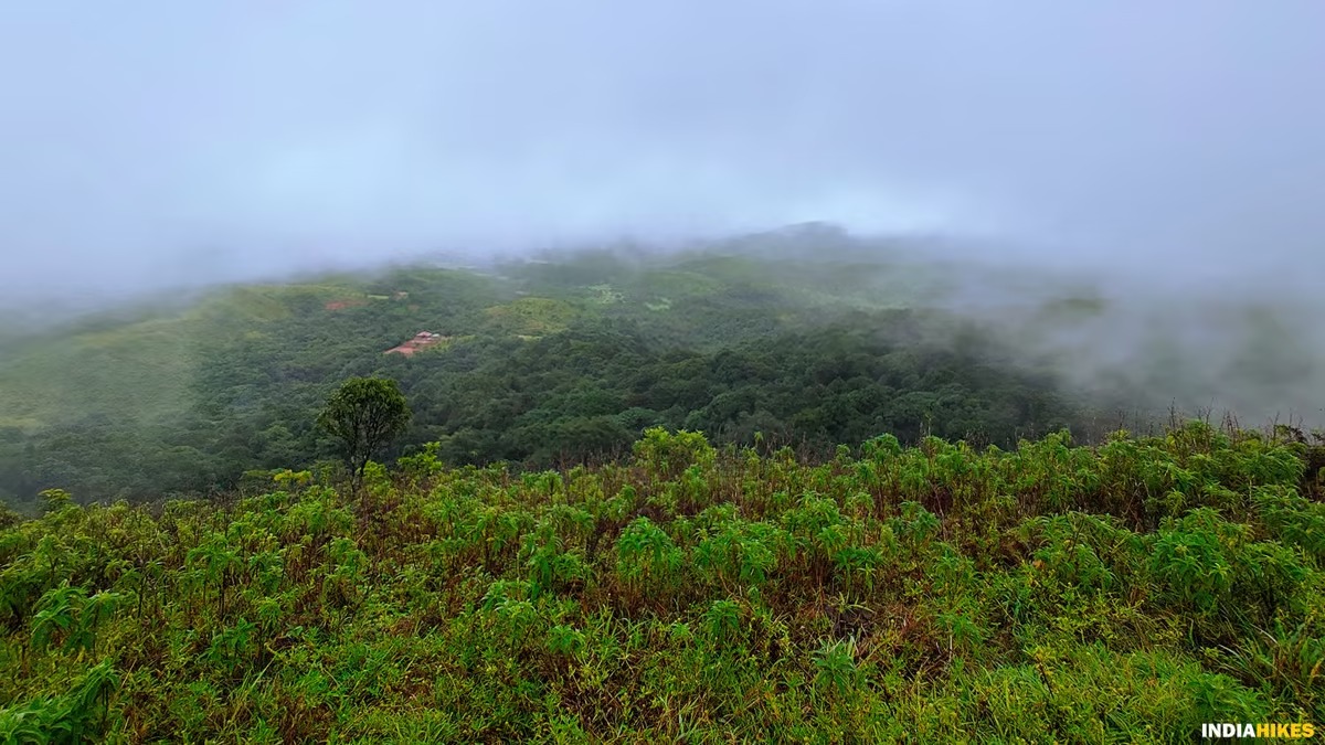 Ettina Bhuja Trek — photo 5