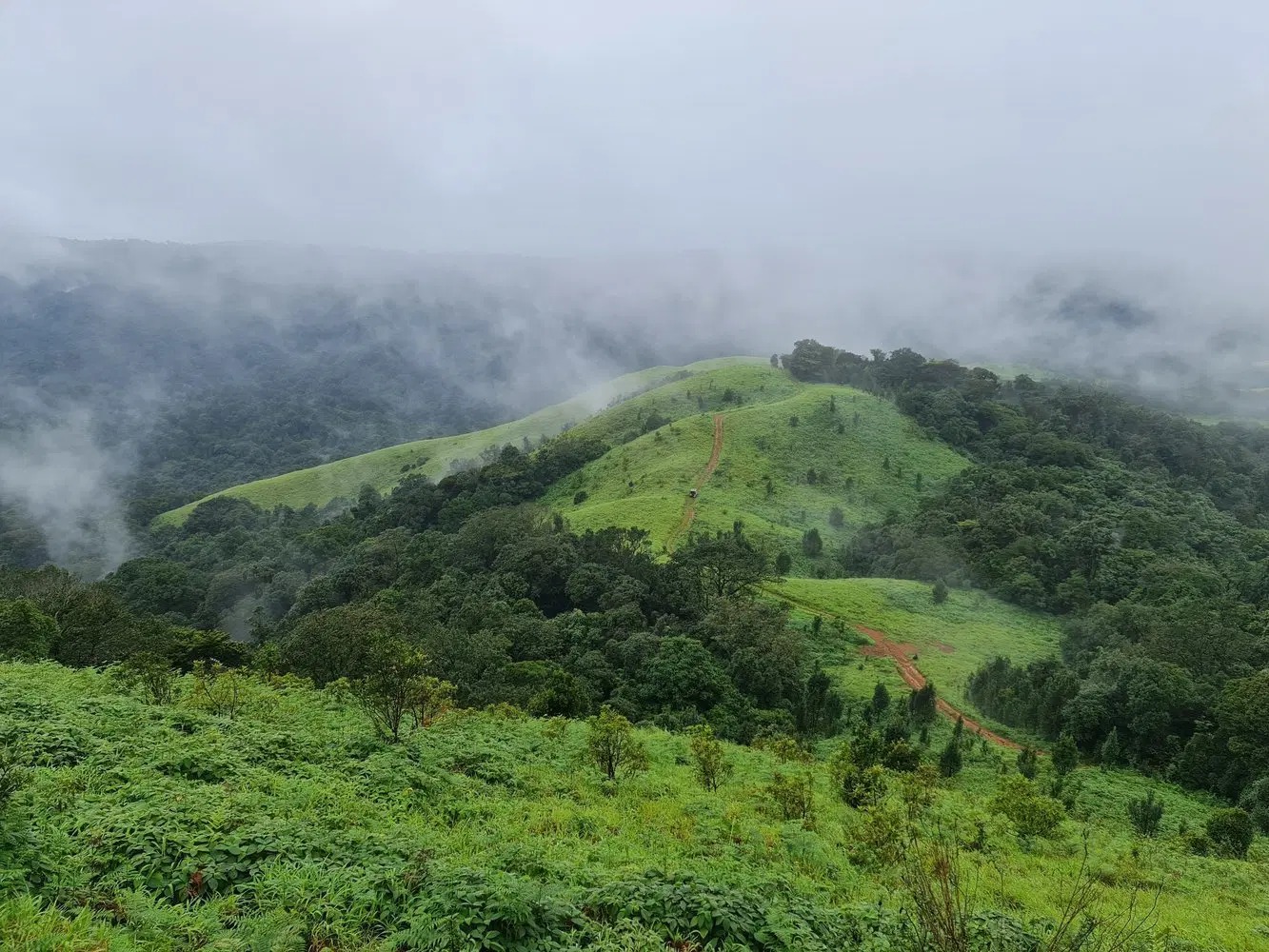 Gangadikal Trek — photo 4