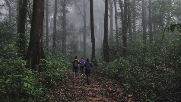 Kurinjal Trek — photo 3