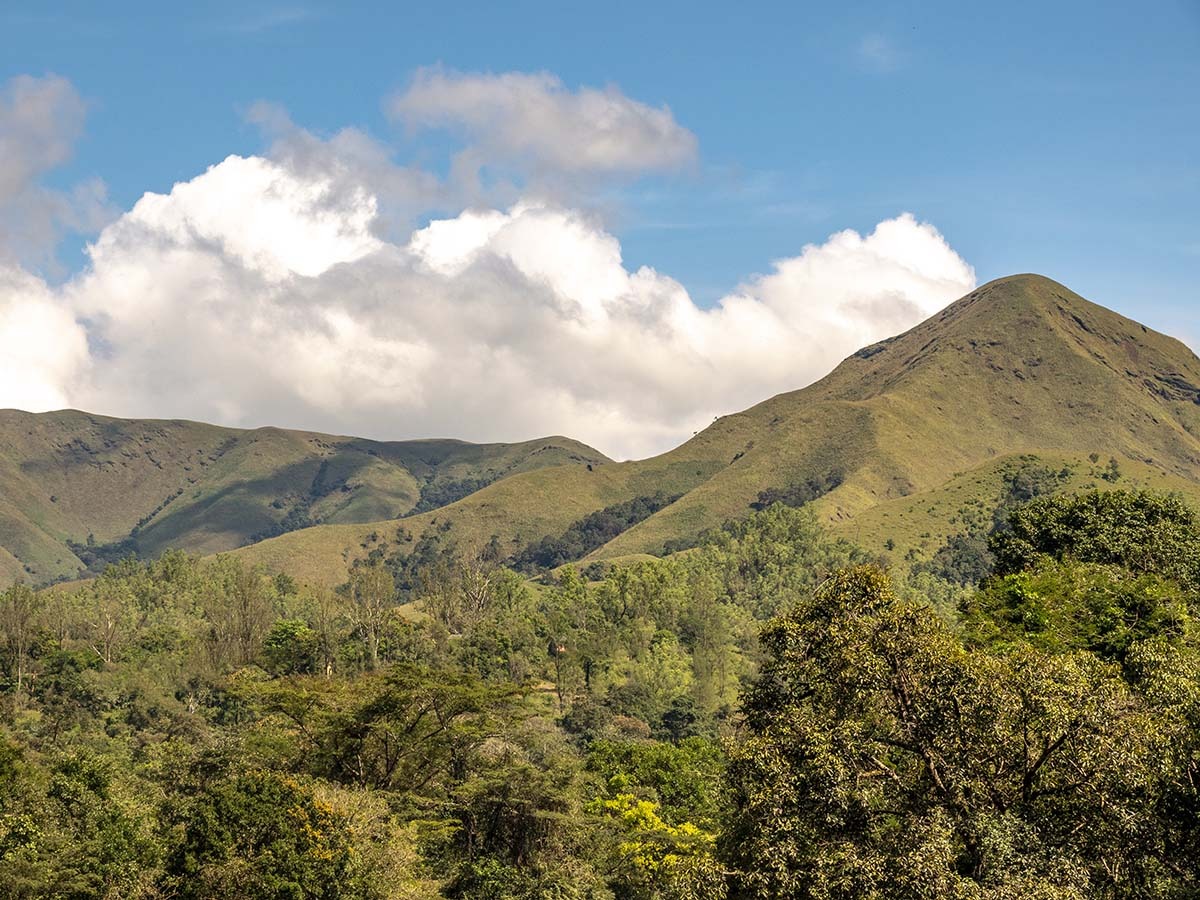 Kurinjal Trek — photo 4