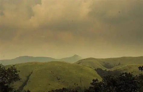 Kurinjal Trek — photo 5